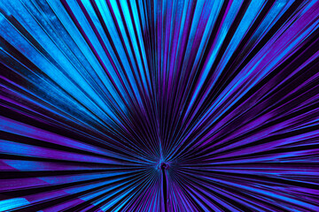 tropical palm leaf background,  neon glow color toned