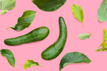 Long avocado fruit, Fresh long neck avocado