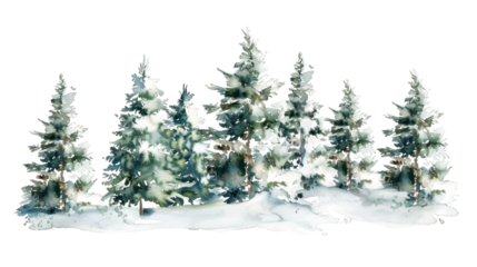 watercolor drawing of christmas fir tree forest isolated on white or transparent png