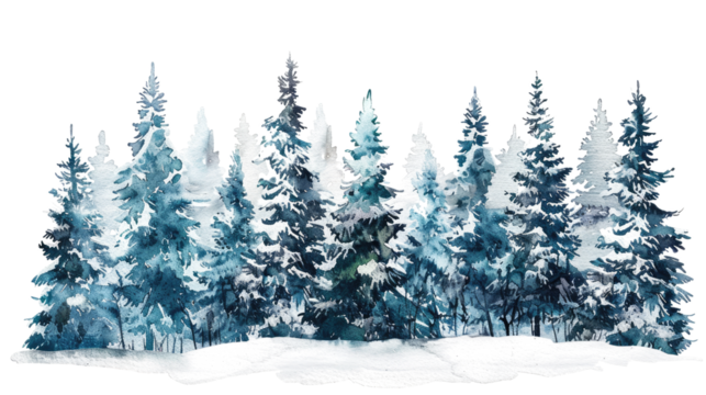watercolor drawing of christmas fir tree forest isolated on white or transparent png