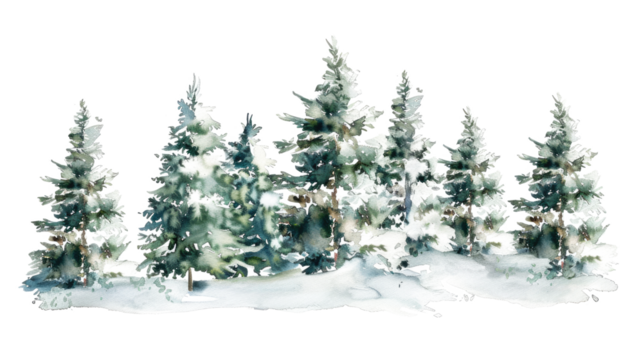 watercolor drawing of christmas fir tree forest isolated on white or transparent png