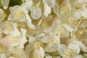 Many aromatic jasmine flowers on beige background, flat lay