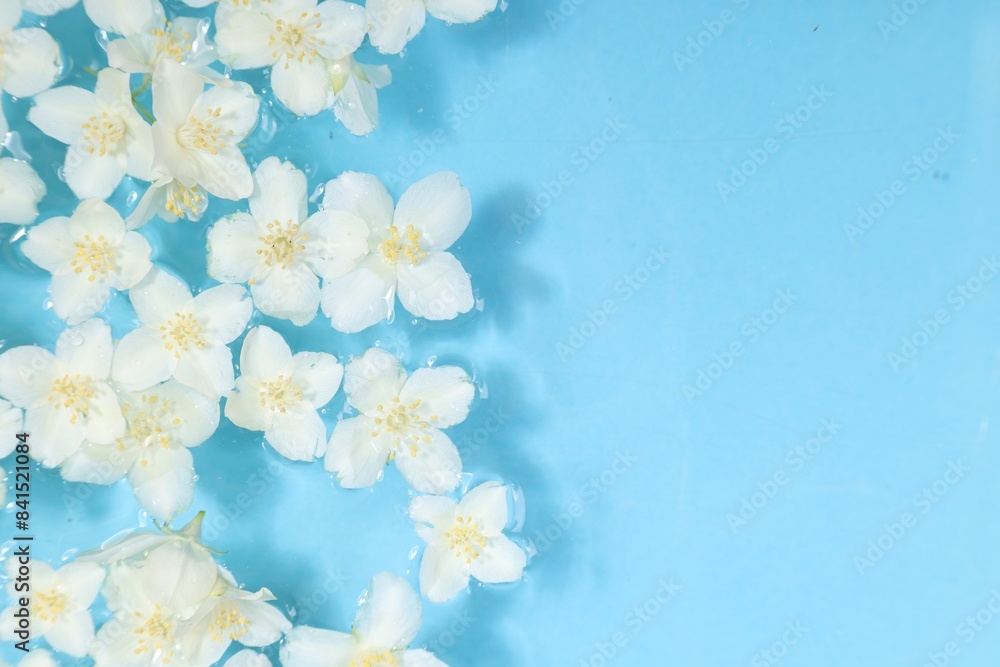 Poster Beautiful jasmine flowers in water on light blue background, top view. Space for text