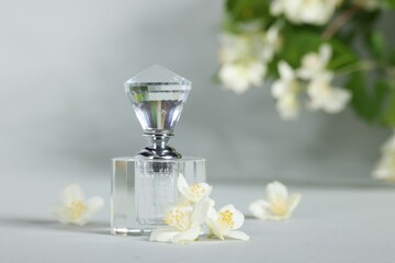 Aromatic perfume in bottle and beautiful jasmine flowers on grey background, closeup. Space for text