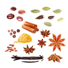 Clove spice, cinnamon, coffee, star-anis, cardamom, black pepper, vanilla, turmeric watercolor set isolated on white, hand drawn for food design. Great for spice box, menu, recipes, organic food ads