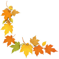 Colorful autumn leaves frame corner isolated on transparent background for fall 