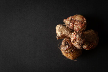 A pile of Dry Organic Spectacular Eulophia or Eulophia ochreata or Tubers of Amarkand (Eulophia nuda) fruits, isolated on a black background. Top view