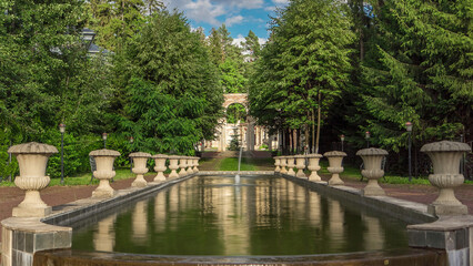 Green trees and bushes in a park or forest at summer timelapse.