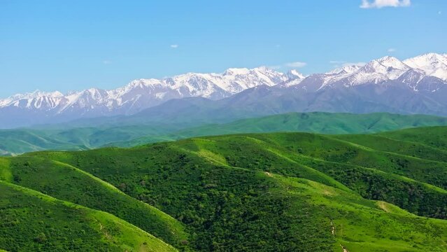aerial view of grassy green hills in front of snowcapped mountain range at sunny spring day, truck camera movement with parallax effect