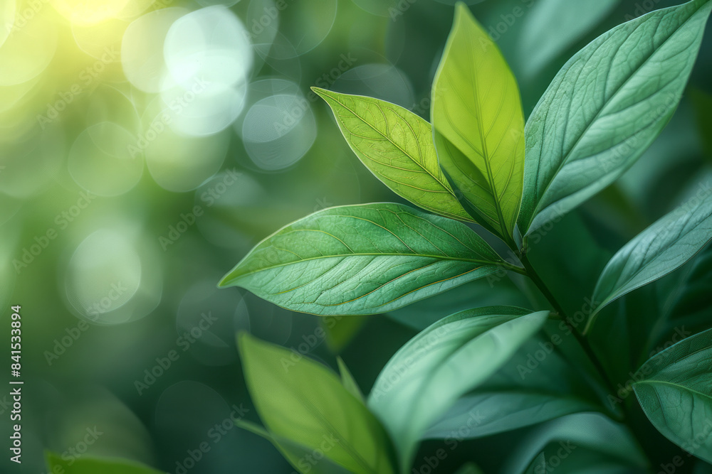Poster smooth gradient transitioning from soft yellow to light green, ideal for tranquil and cohesive banne