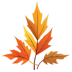 Fototapeta premium Colorful autumn leaves isolated on transparent background 