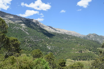 Naturaleza, paisaje, lago, cielo, árboles, montañas, medio ambiente