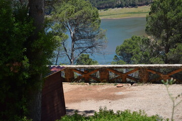 Animales, Ciervo, &Aacute;guila, Cuervo, salvaje