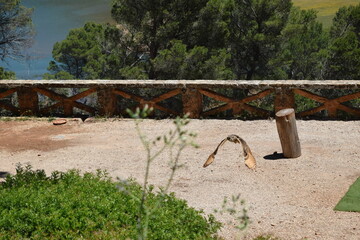Animales, Ciervo, &Aacute;guila, Cuervo, salvaje