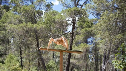 Animales, Ciervo, &Aacute;guila, Cuervo, salvaje