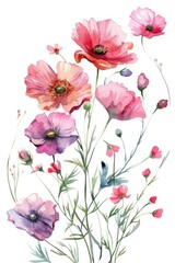 Vibrant Watercolor Floral Arrangement with Poppies and Foliage