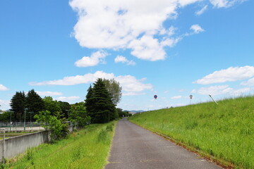 真っ直ぐに伸びる道と青空