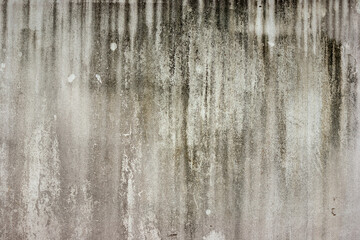 black mold indicating damp on outside white cement wall.