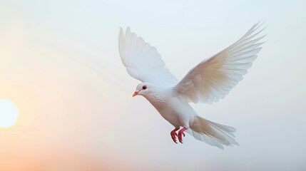Majestic white dove taking flight against a clear white sky, symbolizing hope and purity