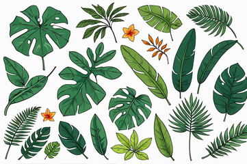 a bunch of green leaves and flowers on a white background