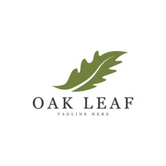 Oak leaf logo design template. Oak leaf with acorns graphic vector. Vector illustration