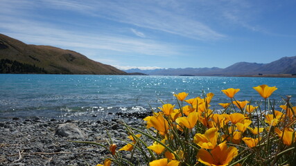 lake and mountains