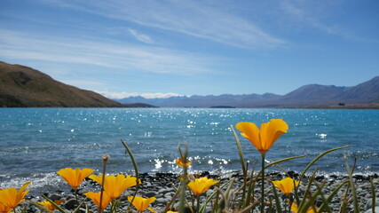 lake and mountains
