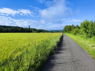 Radweg