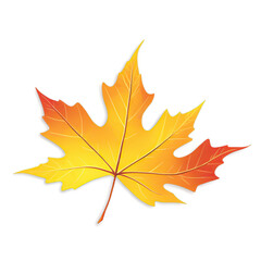 Obraz premium Colorful autumn leaves isolated on transparent background 