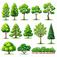a variety of trees and shrubs on a white background