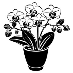 Orchids vase vector silhouette illustration