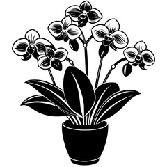 Orchids vase vector silhouette illustration