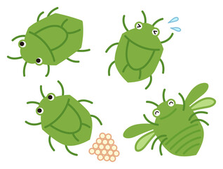 カメムシのイラスト