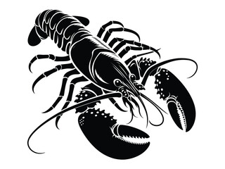 lobster illustration