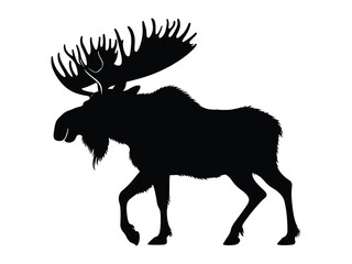 silhouette of a deer