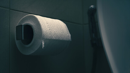 Close up toilet paper. Tissue roll in the dark restroom