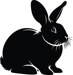 black and white rabbit