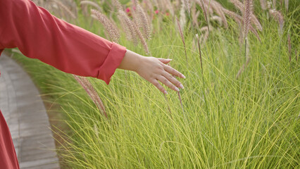 Gentle touch of a woman's hand grazing tall green grass in a tranquil natural outdoor setting.