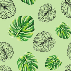 Watercolor seamless pattern with realistic and linear tropical illustration of monstera isolated on background. Beautiful botanical hand painted logo with floral elements. For designers, spa deco