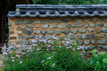 Spring flowers blooming under the tile walls of the hanok garden