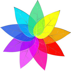 A flower made up of multicolored petals.