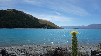Lake and Mountains