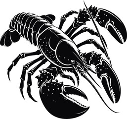 lobster illustration