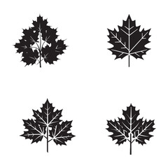Maple leaves Silhouette vector design