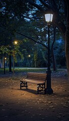 Empty public park at night with illuminated lights and benches for relaxation and leisure activities