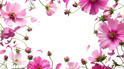 A plant frame isolated on white transparent background, PNG File. Perfect for clipart