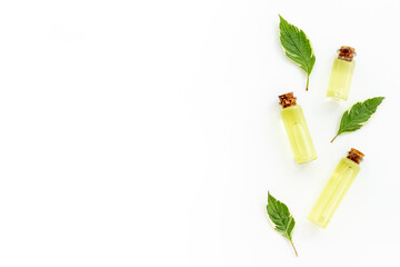 Herbal extract or essential oil for treatment. Bottles and fresh herbs, top view