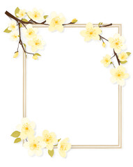 Yellow sakura branches on a rectangular frame isolated on transparent background