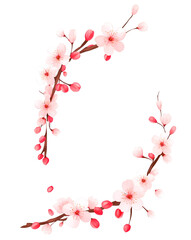 Cherry blossom branch illustration isolated on transparent background, PNG, Vector
