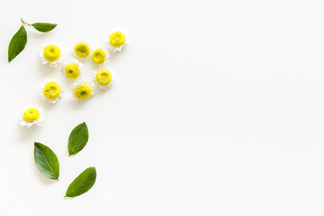 White and yellow chamomile flowers pattern, top view. Floral background